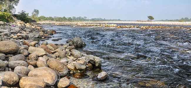 Riverbank of Murti